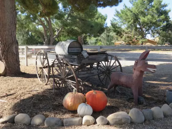 Cute animals. Fun for kids.