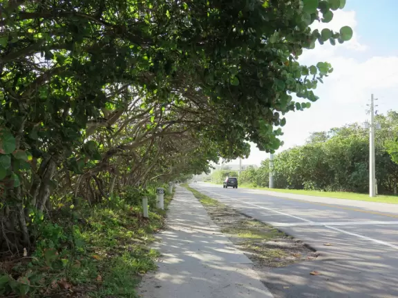 Wide-open beach with pale grey sand, shells on the shore, and aquamarine water, across from a playground, turtle center, and hike.