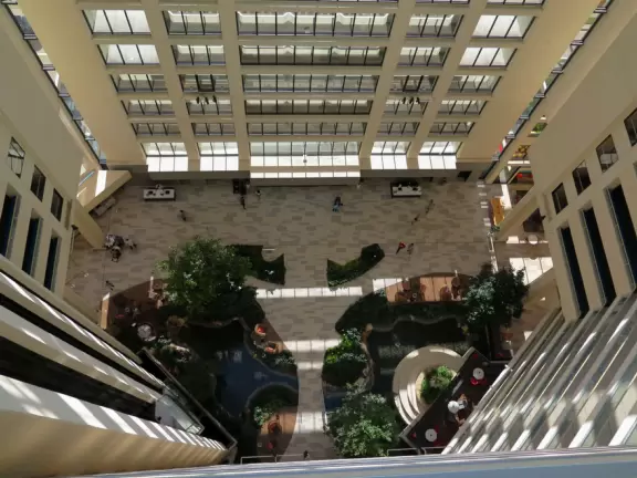 Resort in Orlando that is like a tropical paradise, with enough to do to fill a whole day.