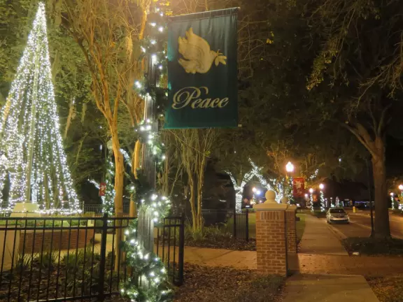 A tiny main street with lovely Christmas lights, plus a large area of cookie cutter homes with some shadeless walking paths and lots of small parks.