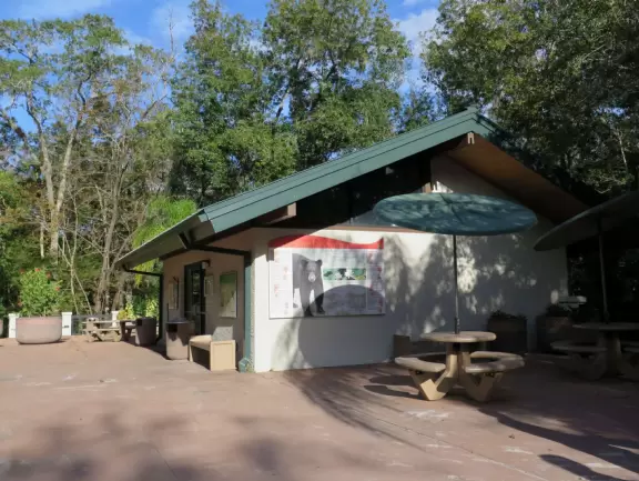 Called a spring, but more like a river, with a small white sand area where kids can play.