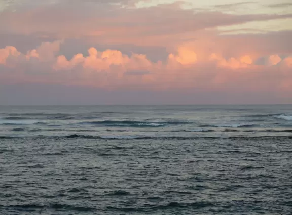 Sweet little beach with steep golden sand, shallow calm water, and a great playground and park full of people!
