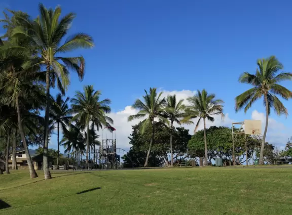 Sweet little beach with steep golden sand, shallow calm water, and a great playground and park full of people!