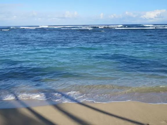 Sweet little beach with steep golden sand, shallow calm water, and a great playground and park full of people!