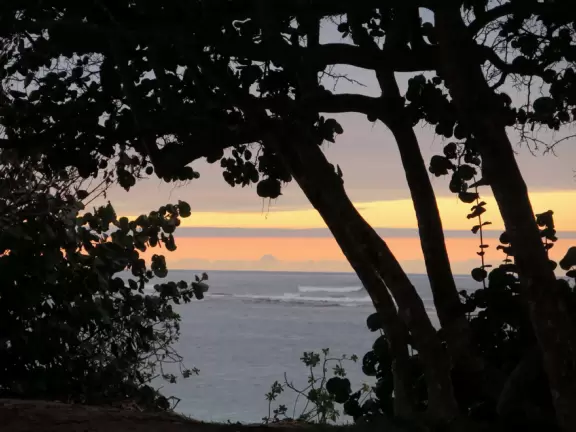 Sweet little beach with steep golden sand, shallow calm water, and a great playground and park full of people!