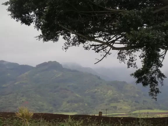 Solid bike path that runs along Waialua Beach Road for 1.4 miles with views of the mountains and flowers.