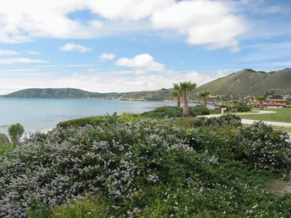 Supremely nice views from many varied vantage points. A clifftop park, beach with tide pools, and start of a long walk.