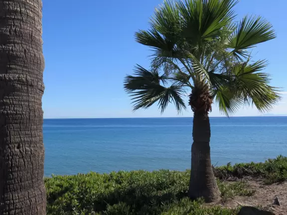 Bluff-top trail full of flowers in the spring. Lovely rugged beach and lagoon below.