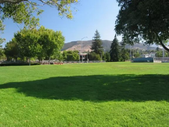 A pretty park with imaginative playground, lawn, amazing skatepark with a wave, basketball/roller derby court, and shady picnic areas. Currently a crime problem.
