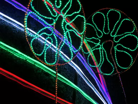 Millions of LED lights- walk the grounds for an hour admiring them!