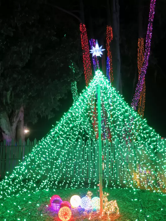 Millions of LED lights- walk the grounds for an hour admiring them!
