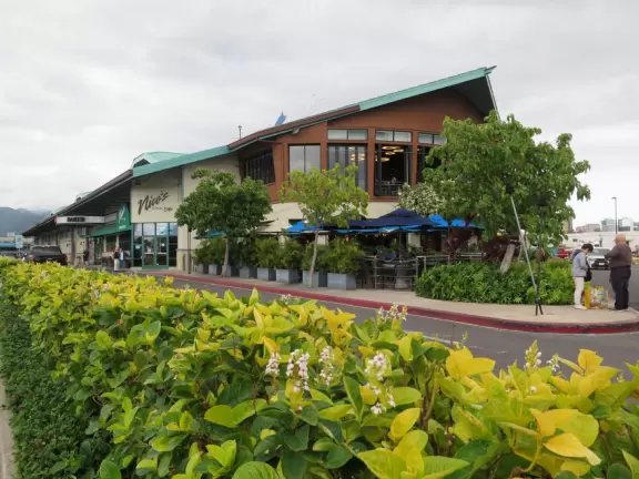 It's lovely to sit outside by the water and eat yummy and easy counter-service food.