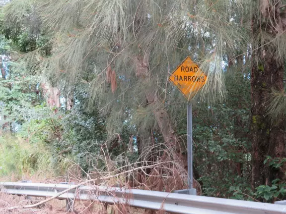 Beautiful, fun hike along an old abandoned highway!