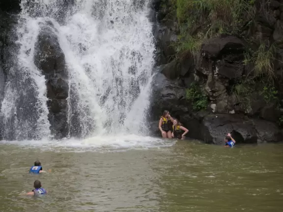 Gorgeous botanical garden with paved one mile walk to a waterfall.