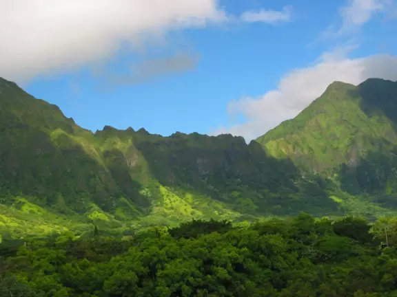 If heaven were situated at a place of higher learning, this is where it would be!