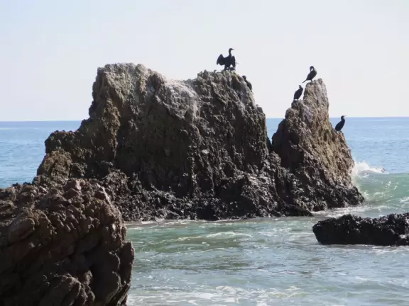 Incredible beach with blue-green water, rocks jutting out of the sea, arches, and caves.