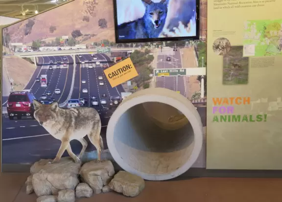 Visitor center with great exhibits.