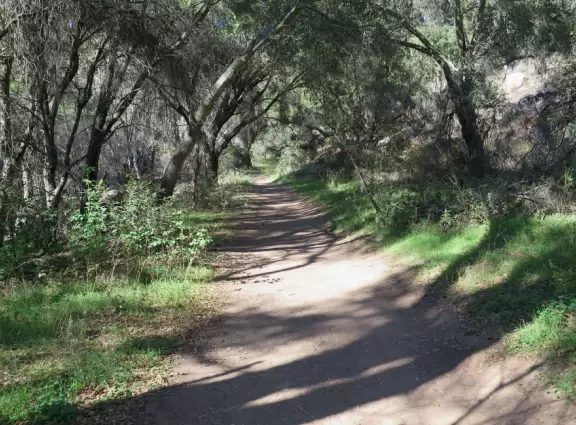 A small park tucked into a canyon in the back of a beautiful neighborhood.