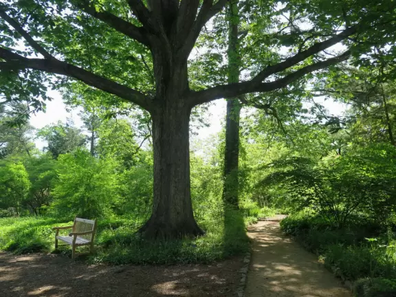 A quiet spot to take a minute in nature.