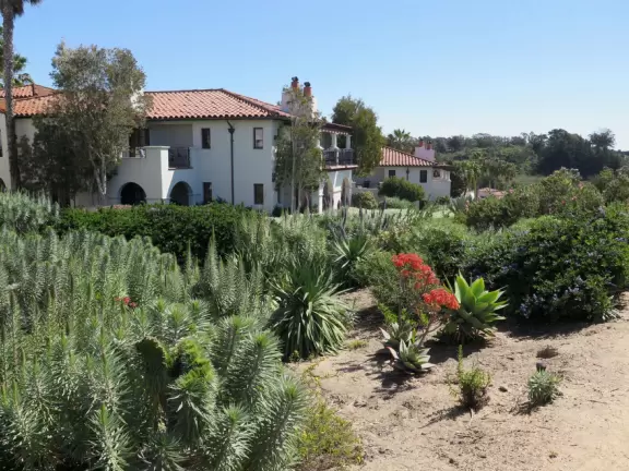 A rugged beach covered in driftwood and framed by dramatic white cliffs.