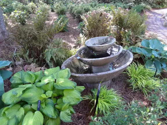 Beautiful in spring, especially April! Lovely artistically laid out medium-sized garden.