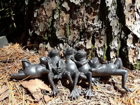 Beautiful in spring, especially April! Lovely artistically laid out medium-sized garden.