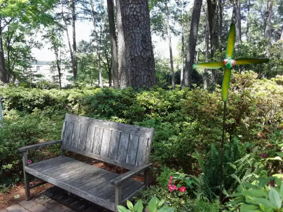 Beautiful in spring, especially April! Lovely artistically laid out medium-sized garden.