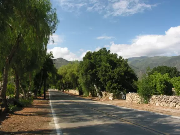 A pretty drive past orange groves and nice homes.