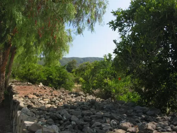 A pretty drive past orange groves and nice homes.
