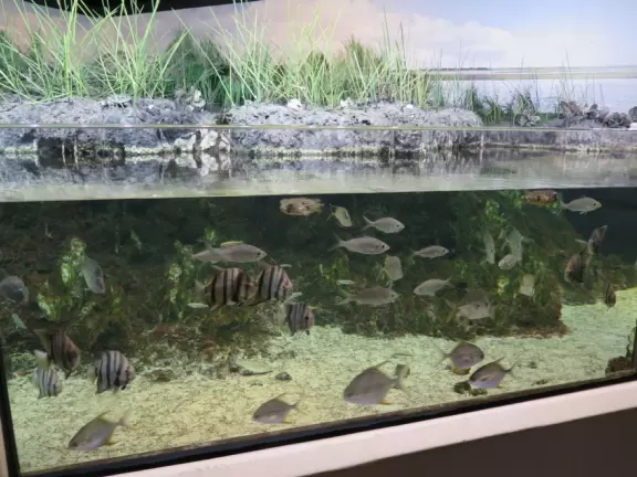 Top notch aquarium with nice temporary exhibits too!