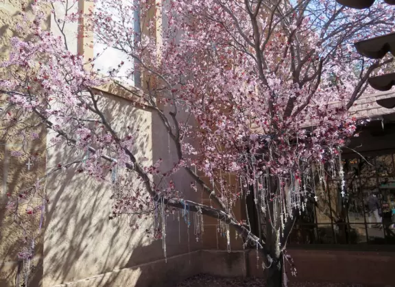 Town with plain geographical features but nice adobe structures, basilica, and museums.