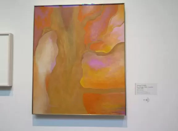 Interesting museum with art from different periods of Georgia O'Keeffe's life.