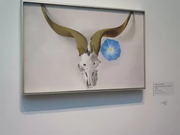 Interesting museum with art from different periods of Georgia O'Keeffe's life.
