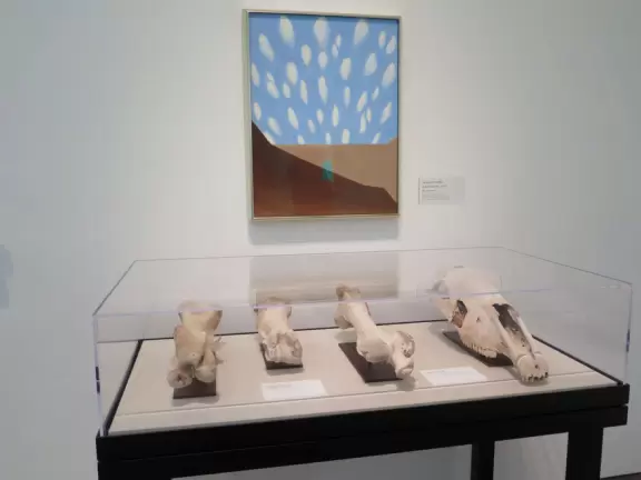 Interesting museum with art from different periods of Georgia O'Keeffe's life.