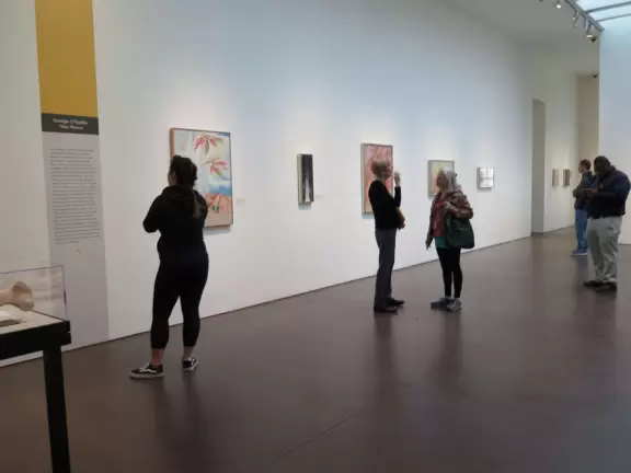 Interesting museum with art from different periods of Georgia O'Keeffe's life.