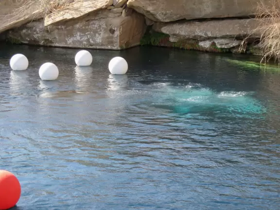 Deep blue swimming hole with rock to jump from, in a plain little spot in a plain little town.