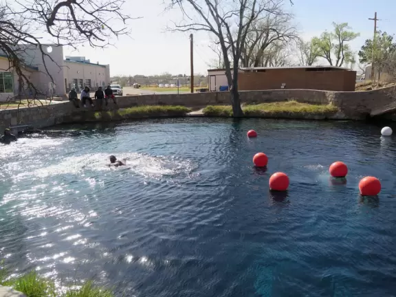 Deep blue swimming hole with rock to jump from, in a plain little spot in a plain little town.