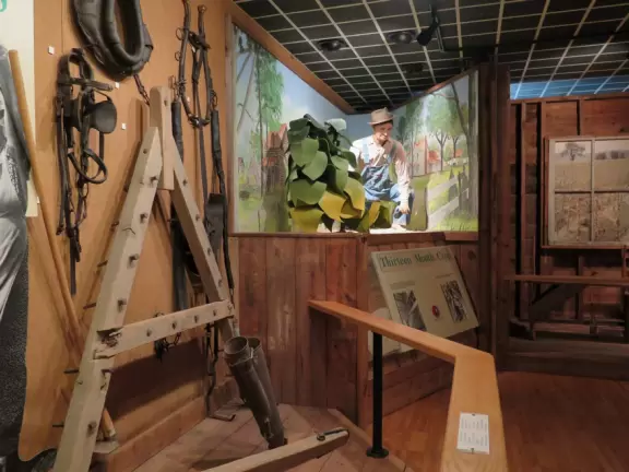 Tour the homestead and&nbsp;tobacco barns, and see the museum about many facets of tobacco.