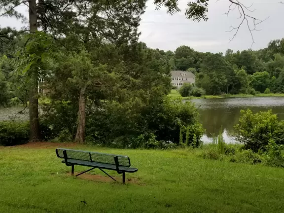 Peaceful greenway with flowers and almost tropical vegetation, that takes you to a lake!