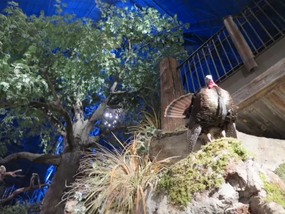 Full of atmosphere, like Disneyland! Take the glass elevator to the top of the pyramid!