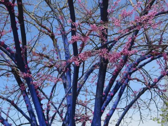 Exquisite modern building on bluffs over the Tennessee River. Gorgeous views of the blue Walnut Street Bridge and good artwork too!