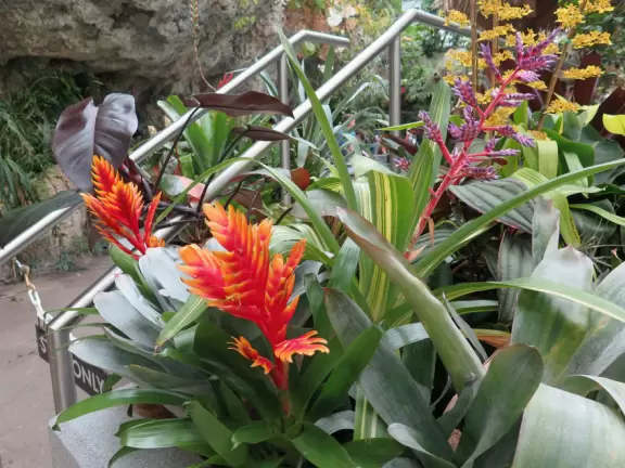 Huge two-building aquarium with gorgeous tanks!