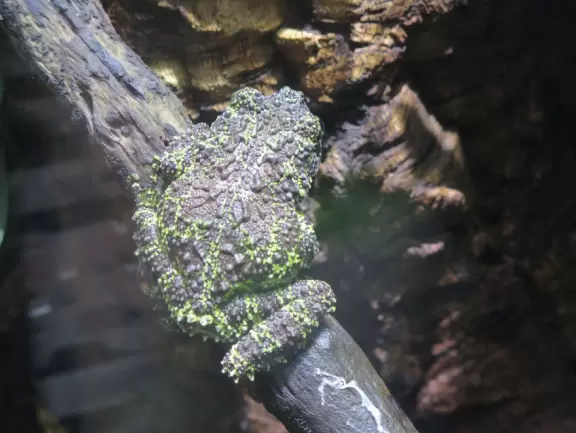 Huge two-building aquarium with gorgeous tanks!