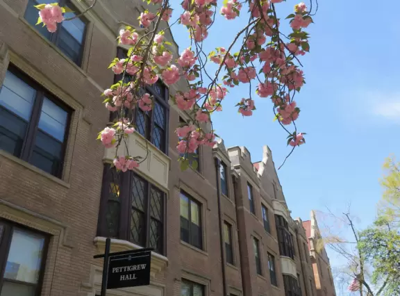 Historic buildings, sunny quad where students hang out, flowers and old trees, and fun student center area.