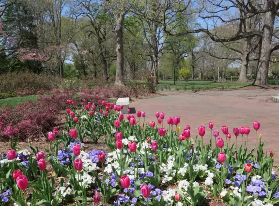 Historic buildings, sunny quad where students hang out, flowers and old trees, and fun student center area.