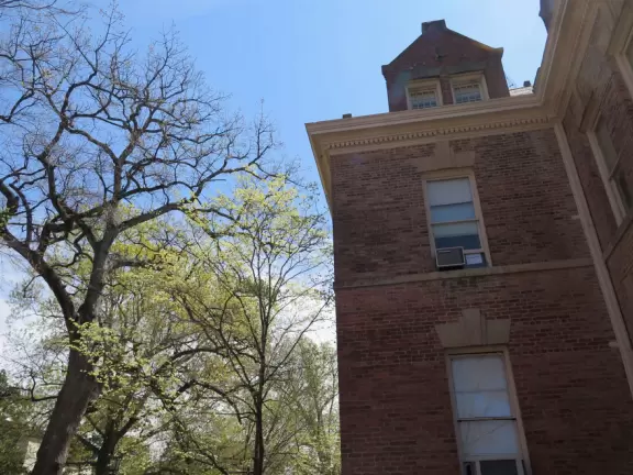 Historic buildings, sunny quad where students hang out, flowers and old trees, and fun student center area.