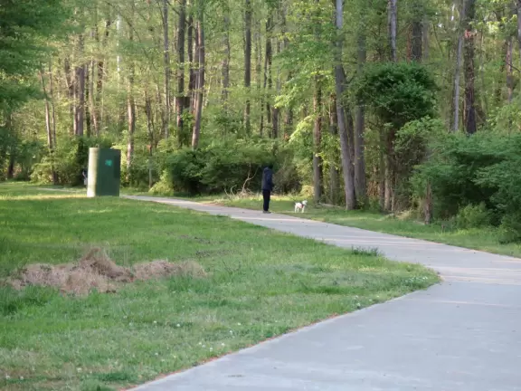 A straight shady path beneath forest trees, with sewer cylinders.