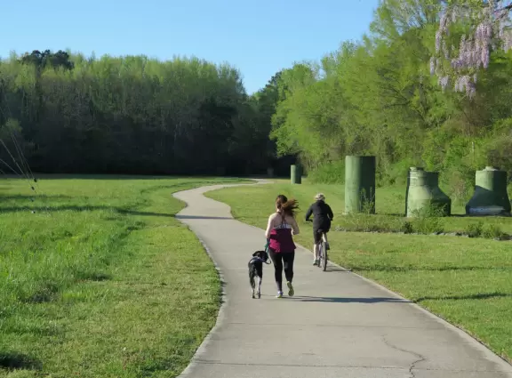 A straight shady path beneath forest trees, with sewer cylinders.