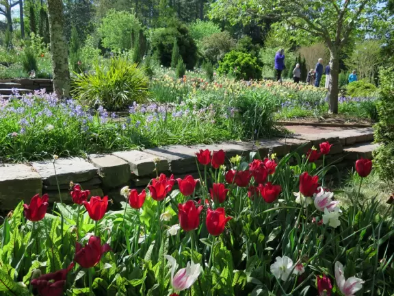 Large world-class garden with lakeside allees, flower terraces, and small Japanese garden.