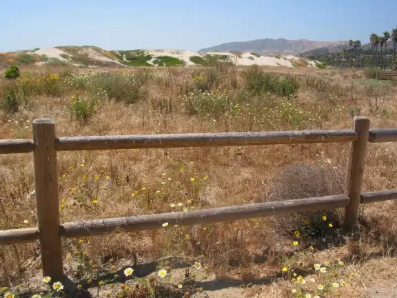 Large windy beach with fun dunes to play on, a bike path, and a grassy picnic area in a valley set back from the beach.